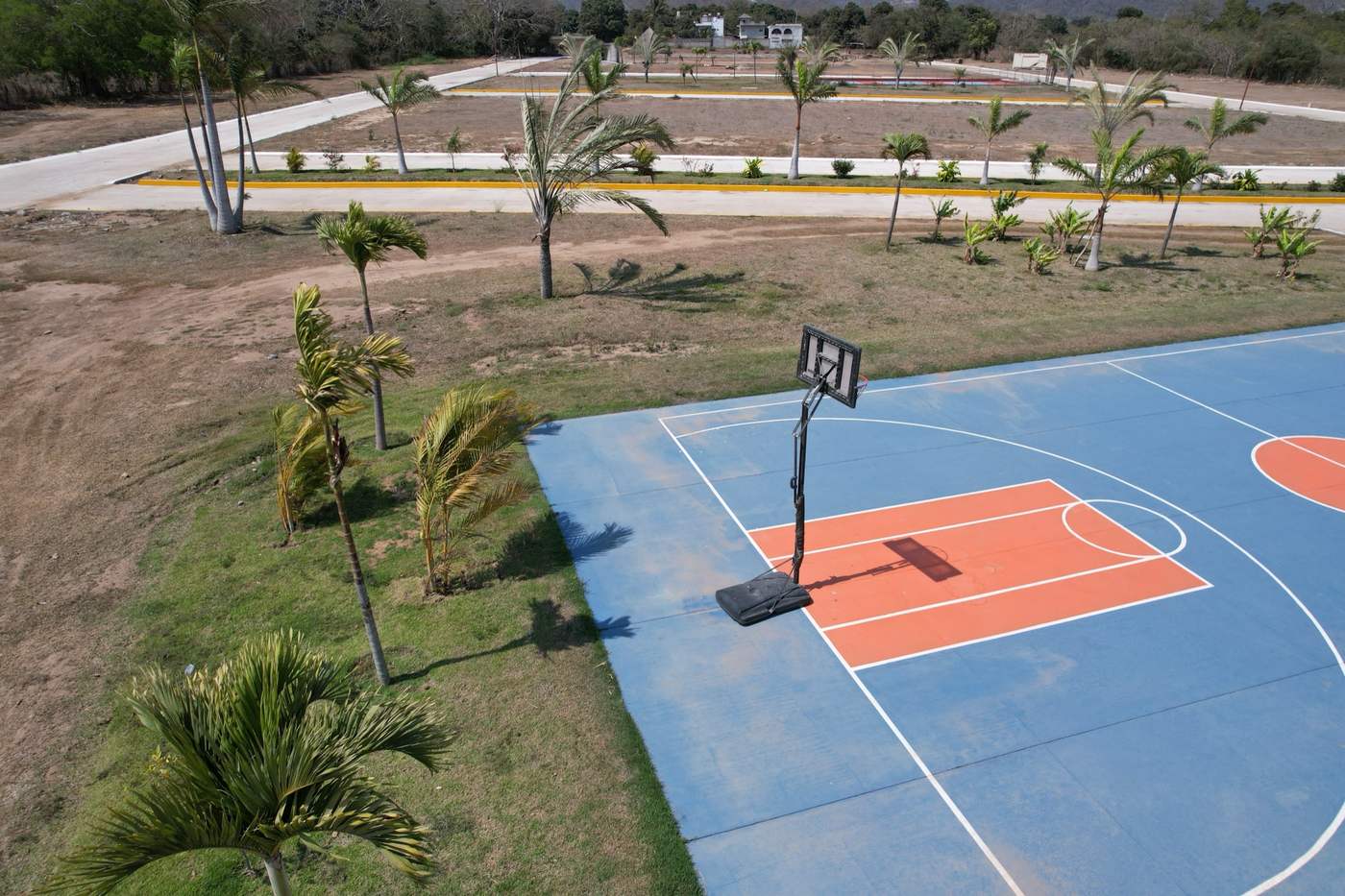 Cancha de basketball con palmeras